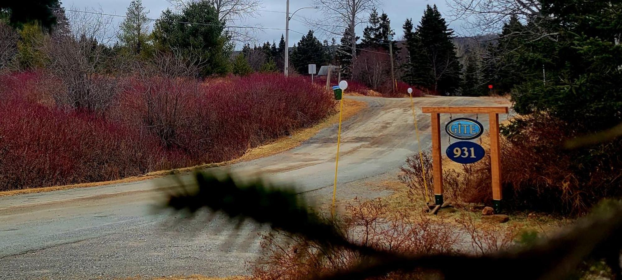 Gite Aux Jardins De L'Anse Perce Eksteriør bilde