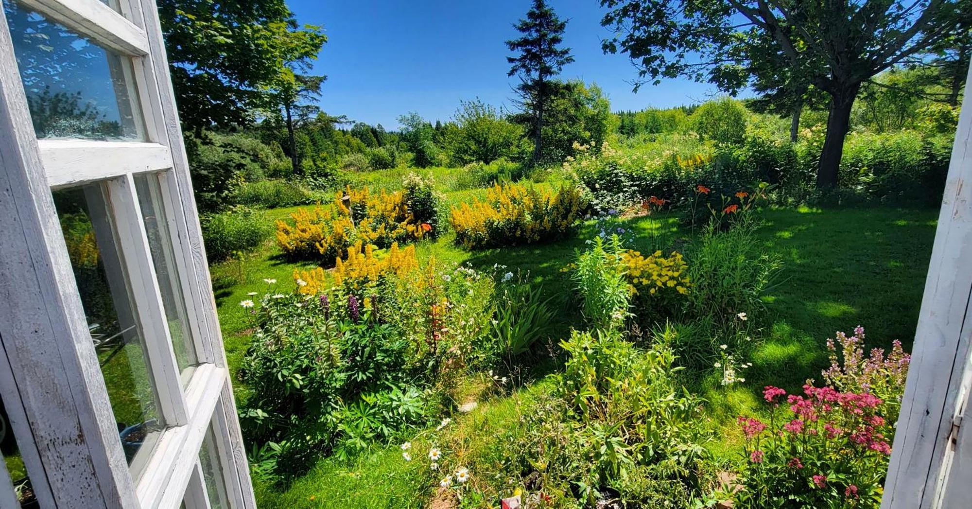 Gite Aux Jardins De L'Anse Perce Eksteriør bilde
