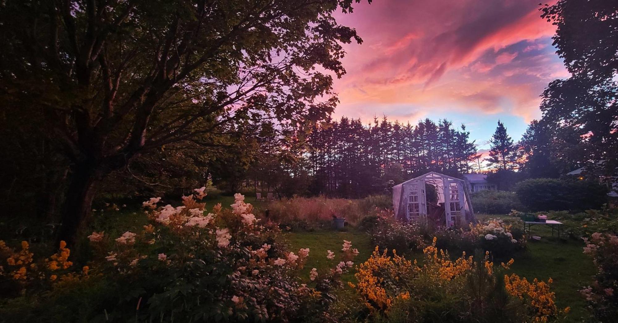 Gite Aux Jardins De L'Anse Perce Eksteriør bilde