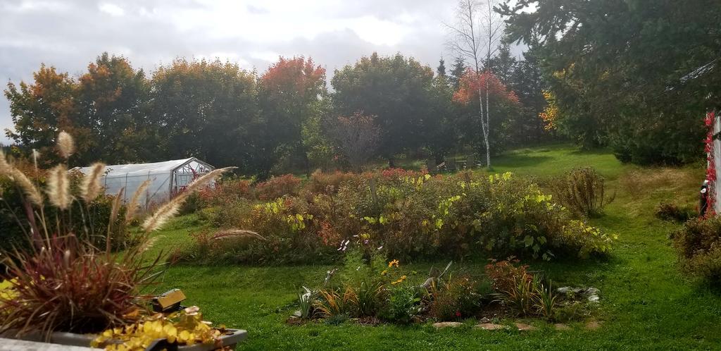Gite Aux Jardins De L'Anse Perce Eksteriør bilde
